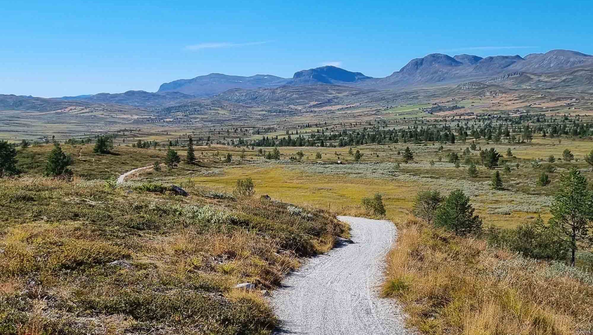 Sommerlig sykkelsti i Syningen fjellterreng